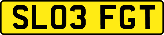 SL03FGT