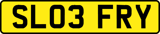 SL03FRY