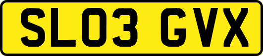 SL03GVX