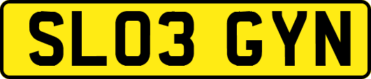 SL03GYN