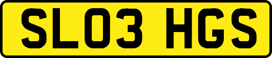 SL03HGS