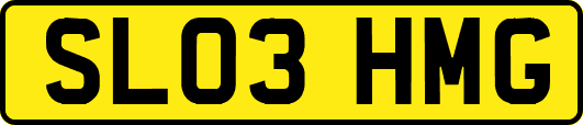 SL03HMG