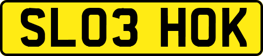 SL03HOK