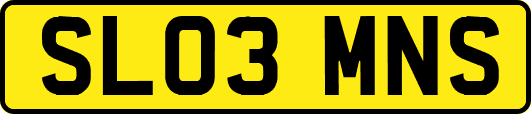 SL03MNS