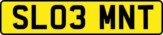 SL03MNT