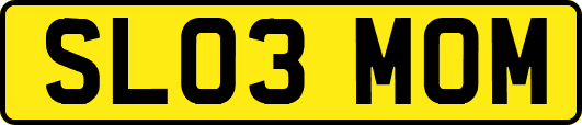 SL03MOM