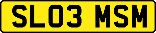 SL03MSM