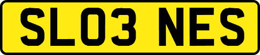 SL03NES