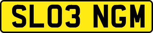 SL03NGM