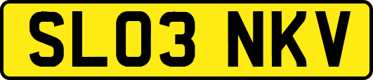 SL03NKV