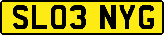 SL03NYG