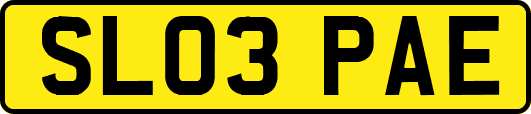 SL03PAE