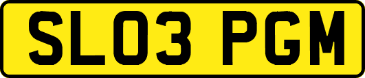 SL03PGM