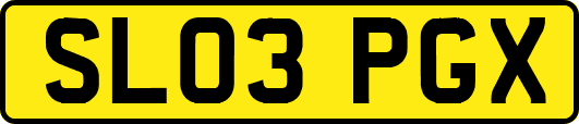 SL03PGX