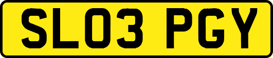 SL03PGY