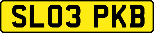 SL03PKB