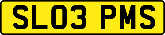 SL03PMS