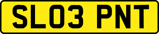 SL03PNT