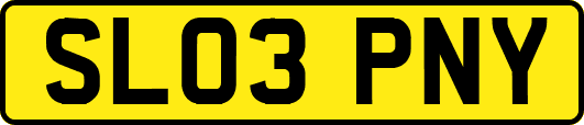 SL03PNY