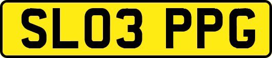 SL03PPG
