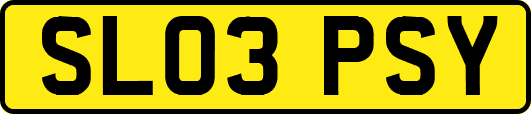 SL03PSY