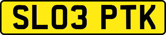 SL03PTK