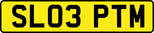 SL03PTM