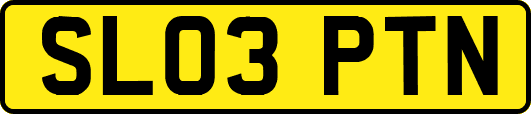 SL03PTN