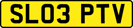 SL03PTV