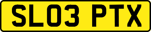 SL03PTX