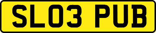 SL03PUB