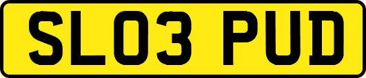 SL03PUD