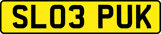 SL03PUK