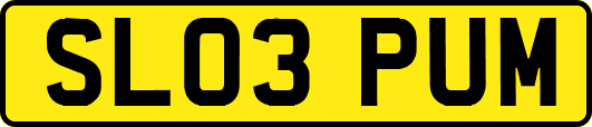 SL03PUM