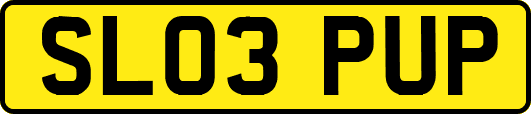 SL03PUP