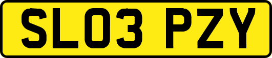 SL03PZY
