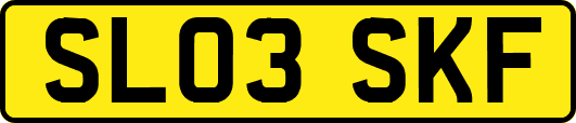 SL03SKF
