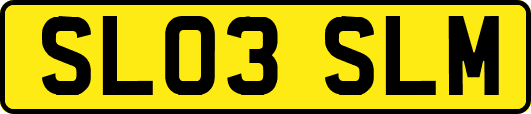 SL03SLM