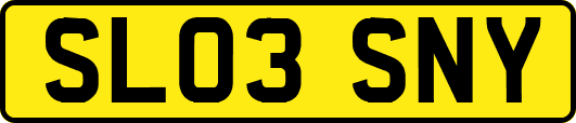 SL03SNY