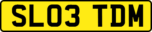 SL03TDM
