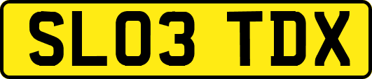 SL03TDX
