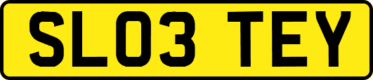 SL03TEY