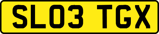 SL03TGX