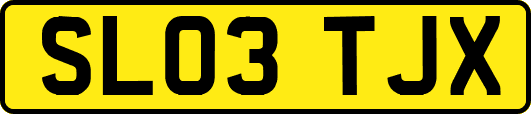 SL03TJX