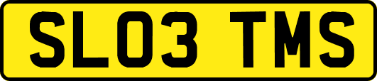 SL03TMS