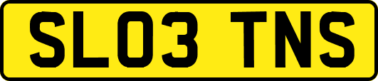 SL03TNS