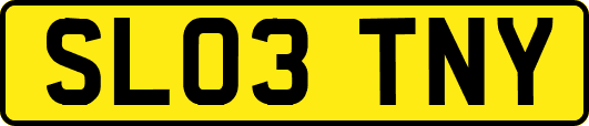 SL03TNY