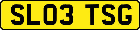 SL03TSG