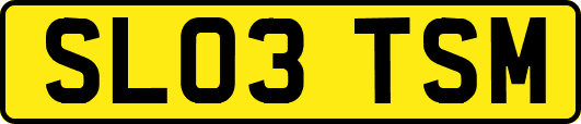 SL03TSM