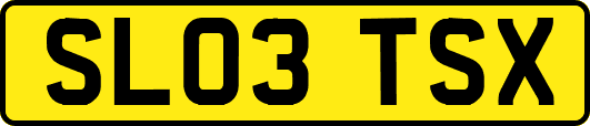 SL03TSX